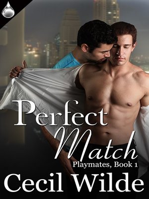 cover image of Perfect Match